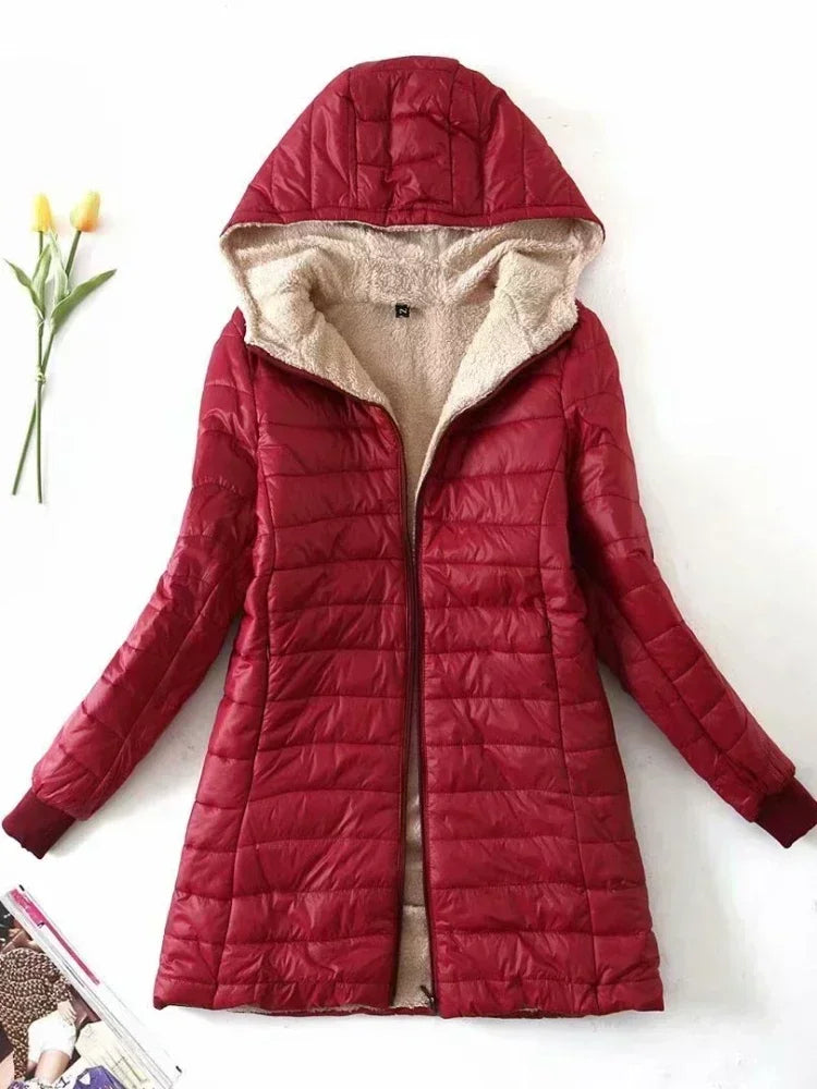 Laurent™ | Korean Jacket